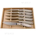 Set 6 coltelli da bistecca pattada paperstone 21cm cf cartone COD: 5572.0951